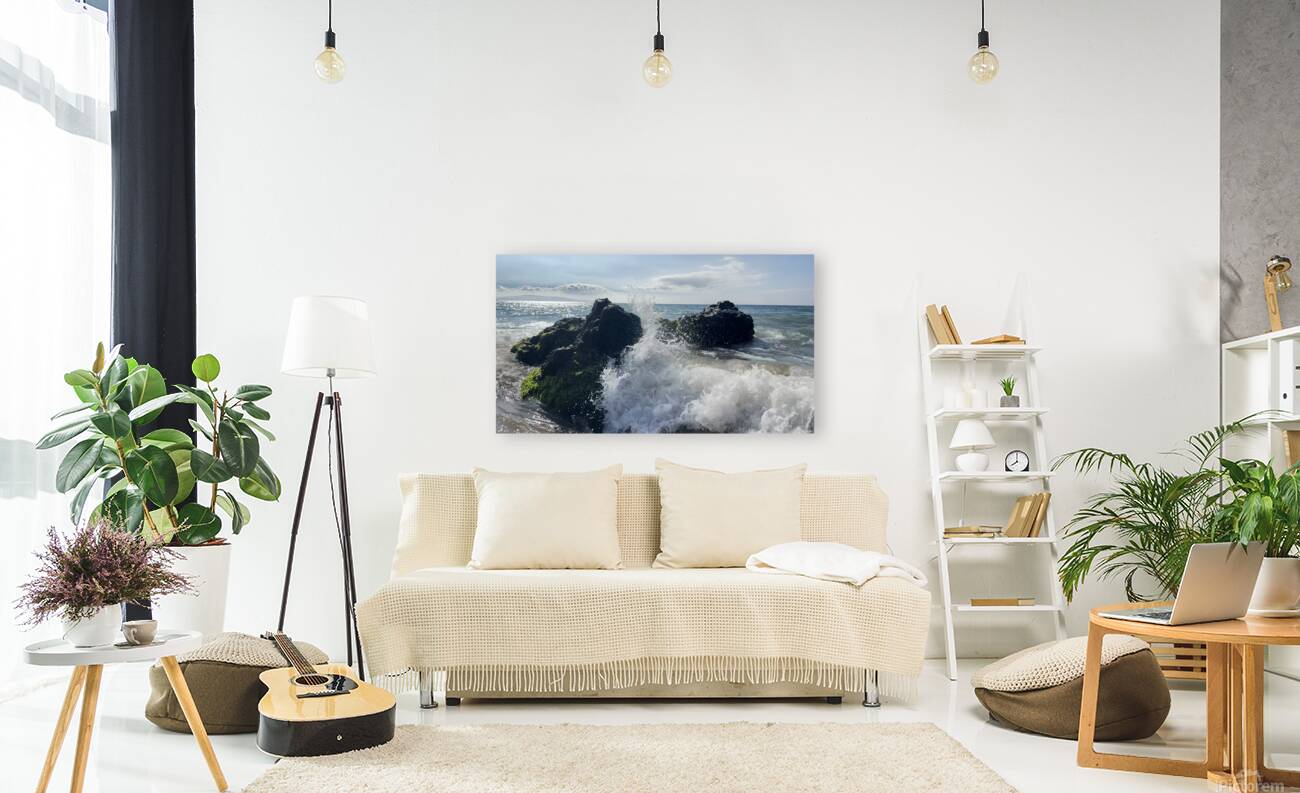 IMG 0939 Reproduction