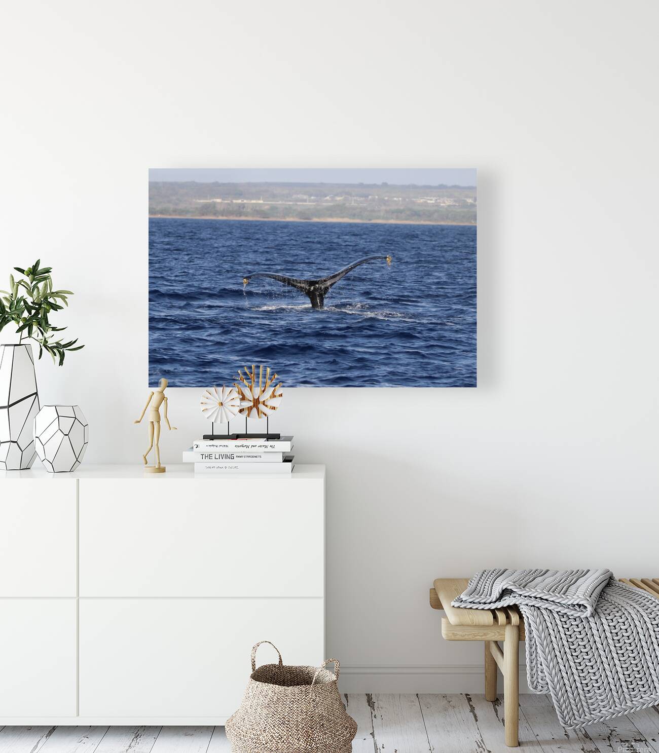 IMG 3379 Reproduction