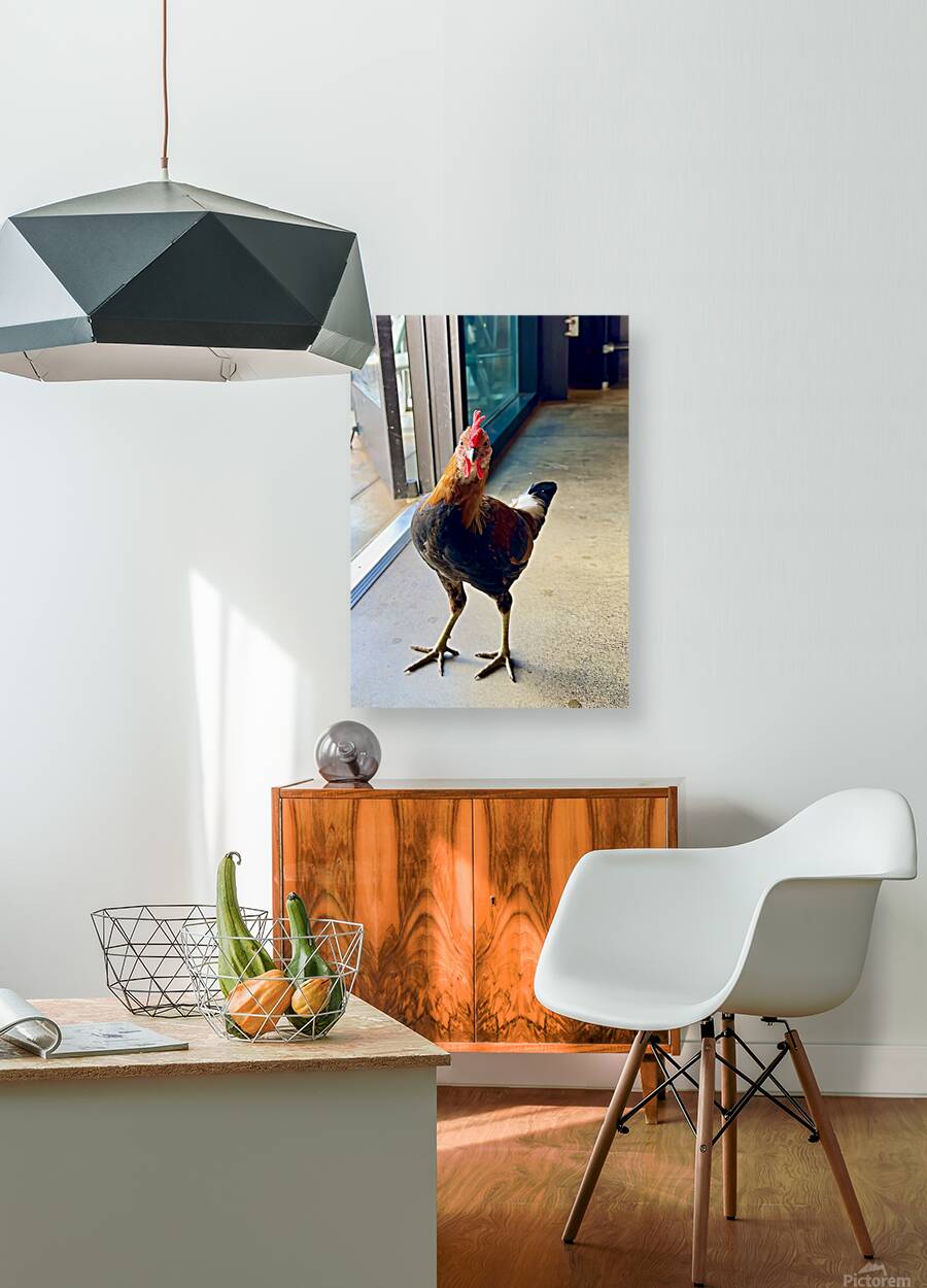 Hello can I help you  Reproduction