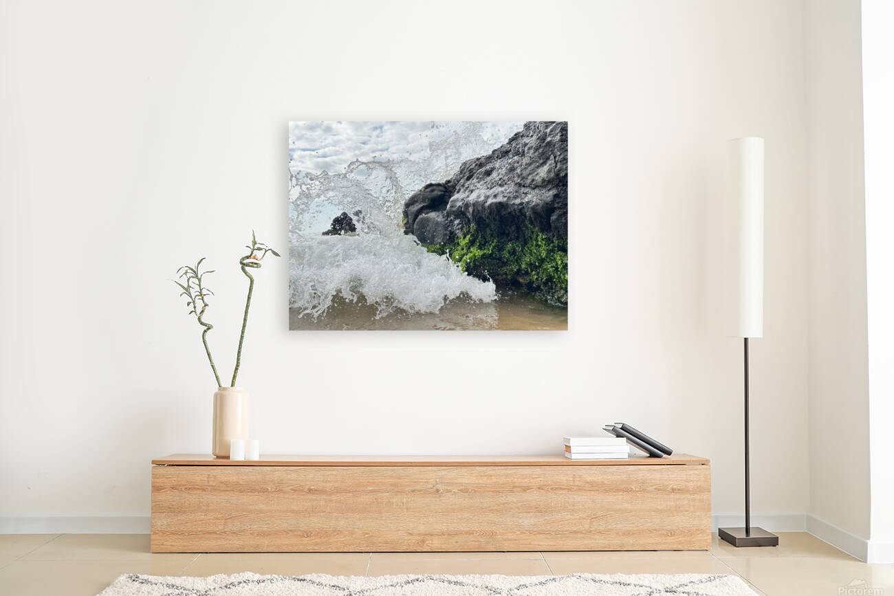 IMG 0828 Reproduction