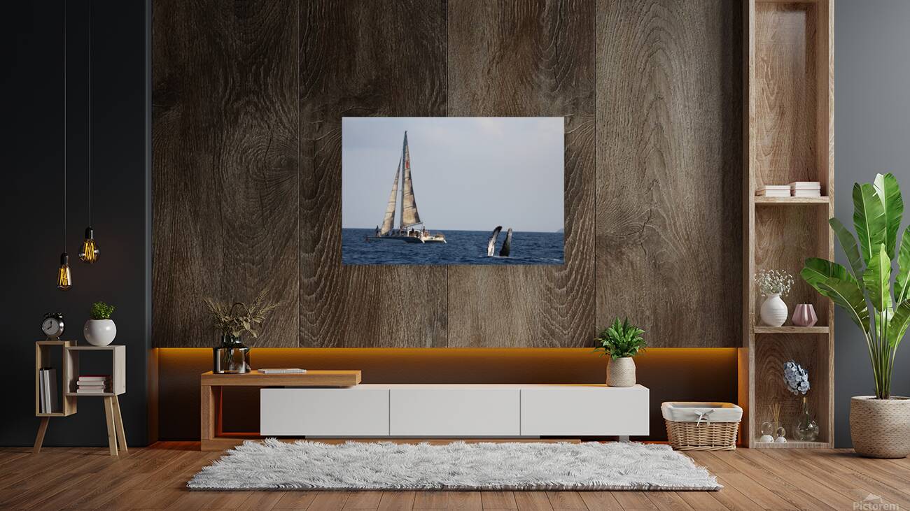 IMG 3371 Reproduction