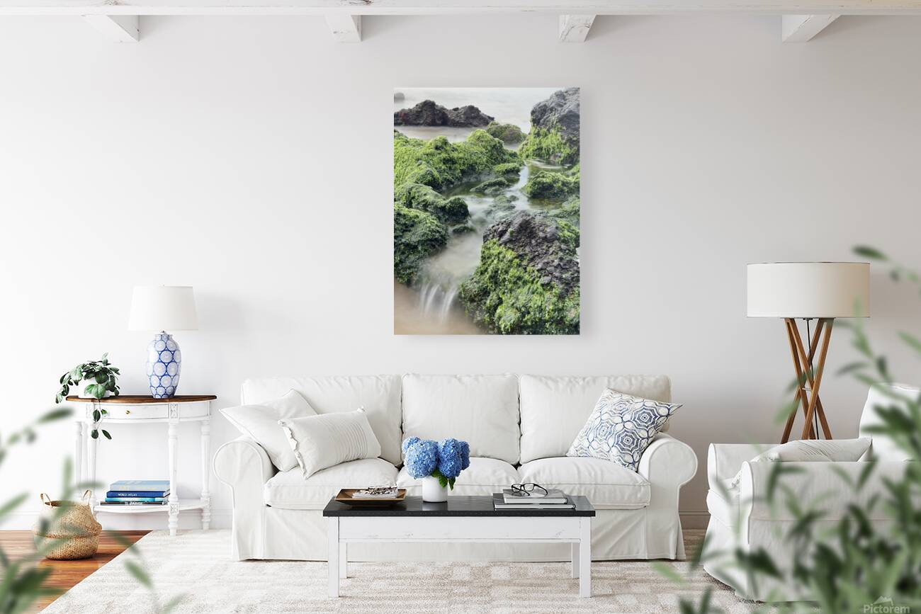 IMG 0839 Reproduction