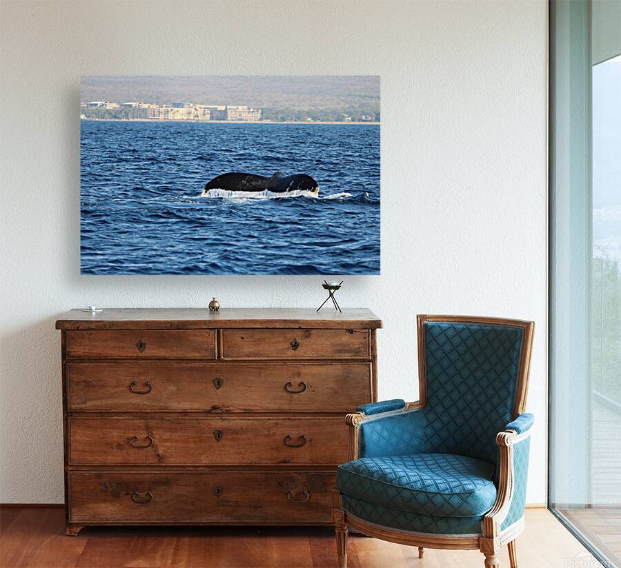 IMG 3391 Reproduction