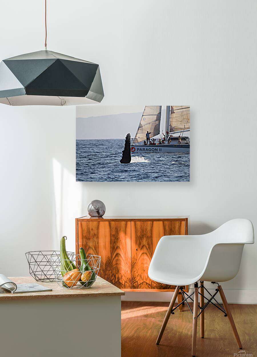 IMG 3364 Reproduction