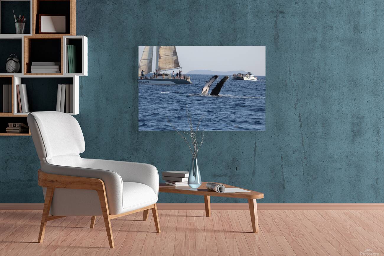 IMG 3369 Reproduction