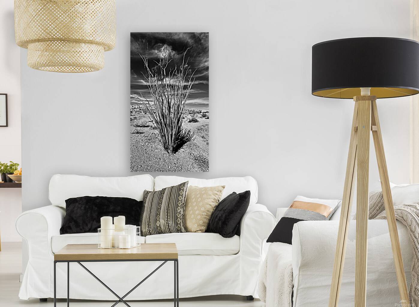 Desert Drama Reproduction