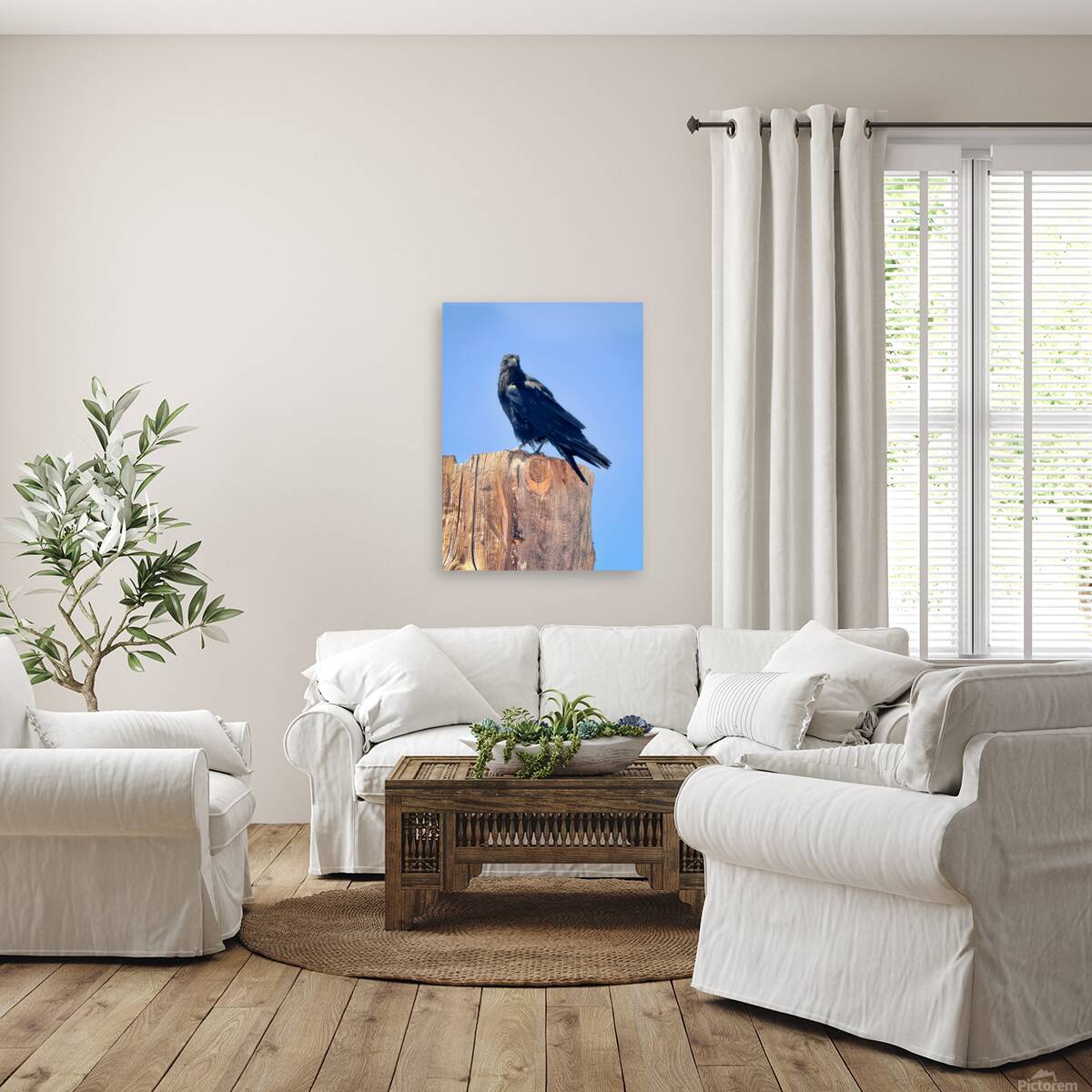 Raven - guardian of the Grand Canyon  Reproduction