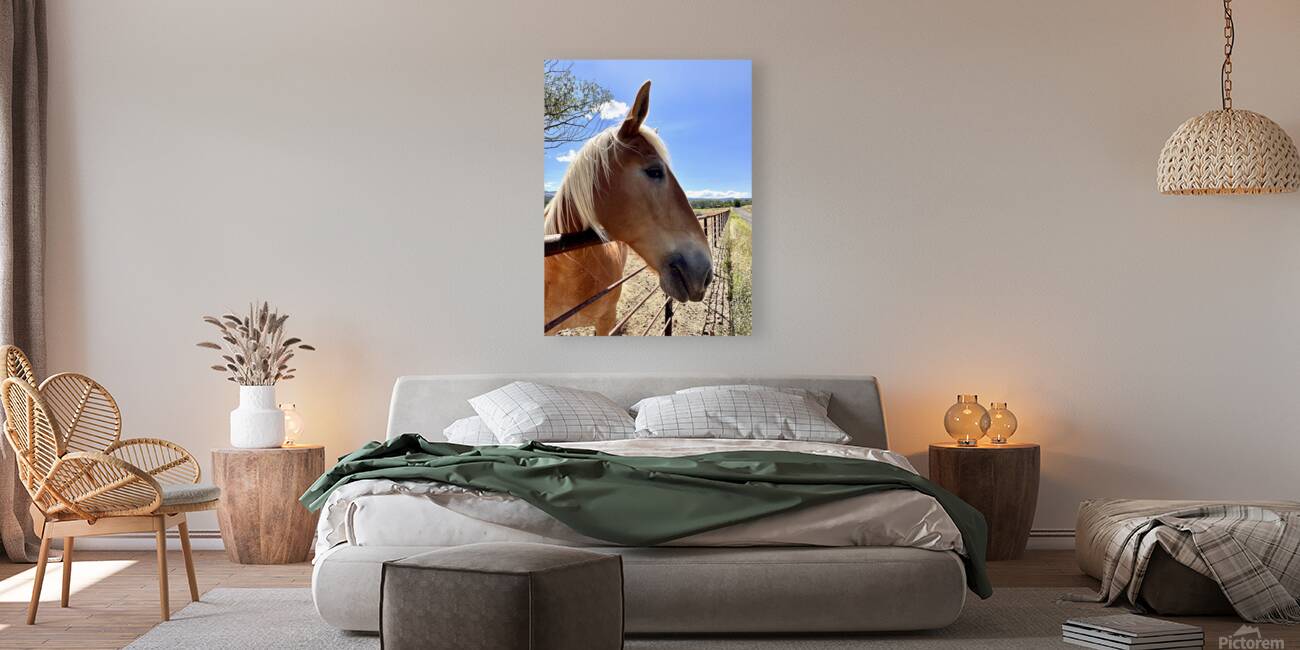 Hay Girl  Reproduction