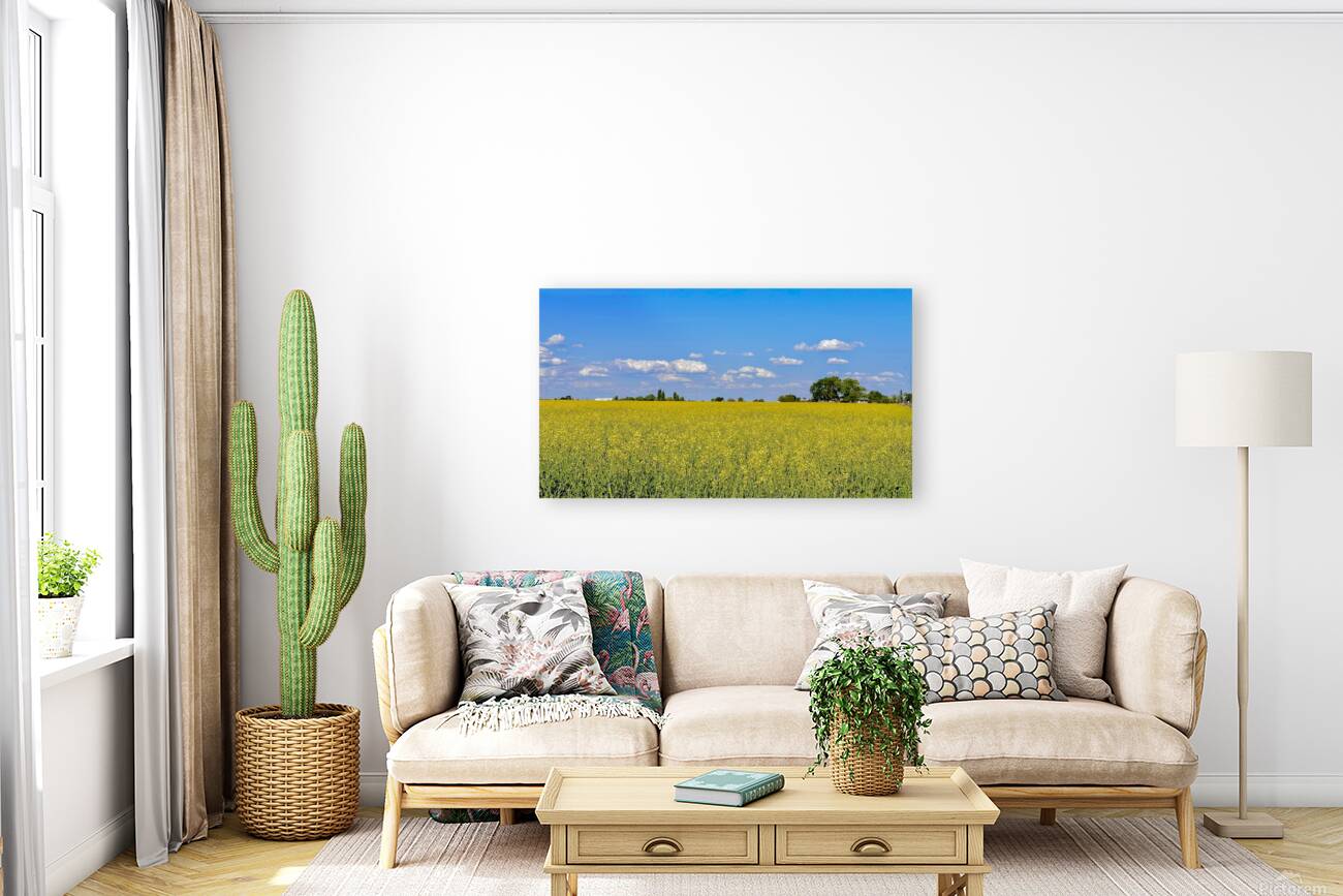 Holy Canola  Reproduction