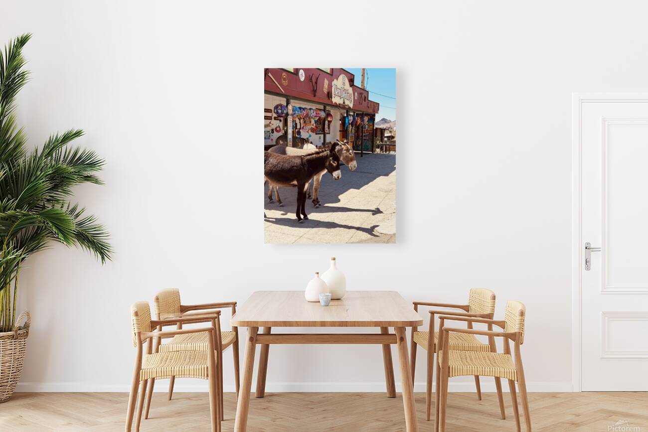 Guardians of Oatman Reproduction