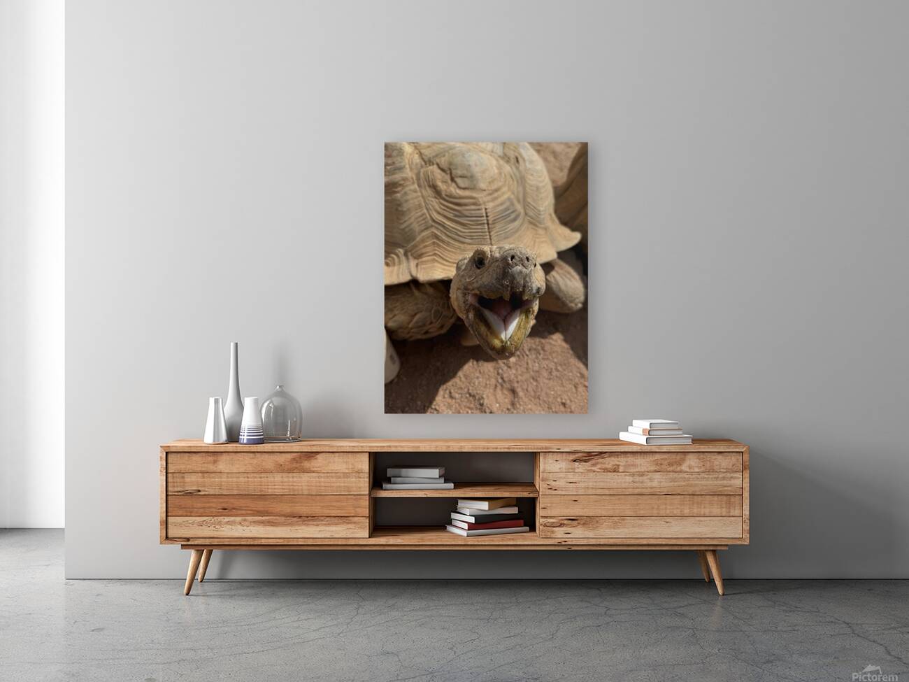 Happy Tortoise Reproduction