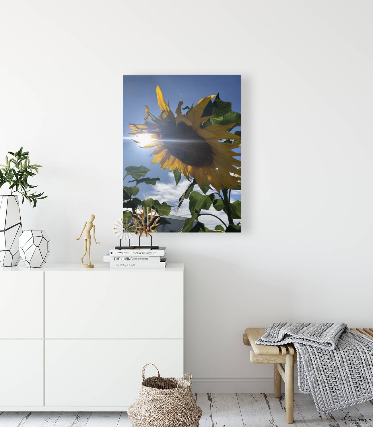 Sunflower and Sunlight Reproduction