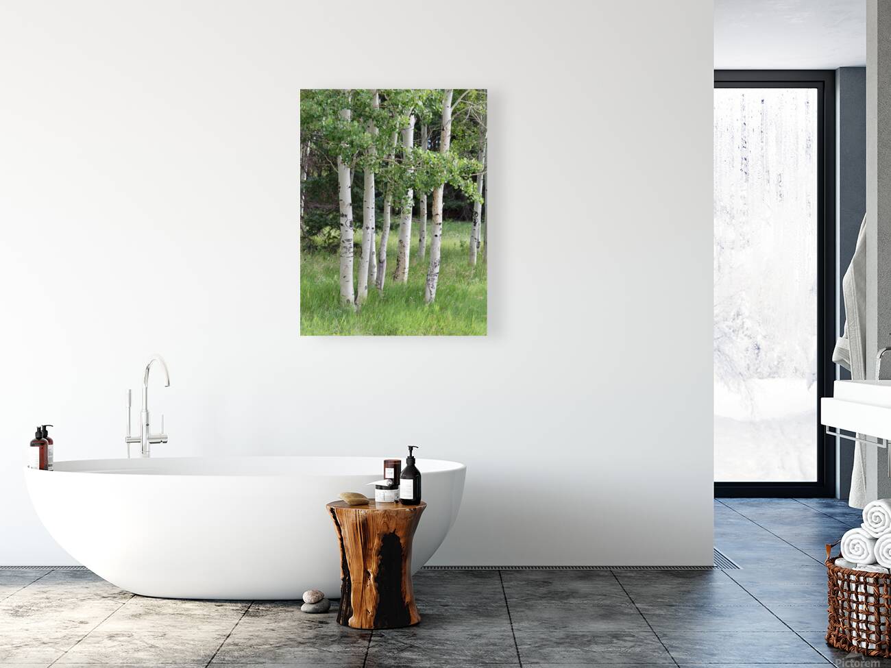 The Earth has music for those who listen. Aspens in Flagstaff Reproduction