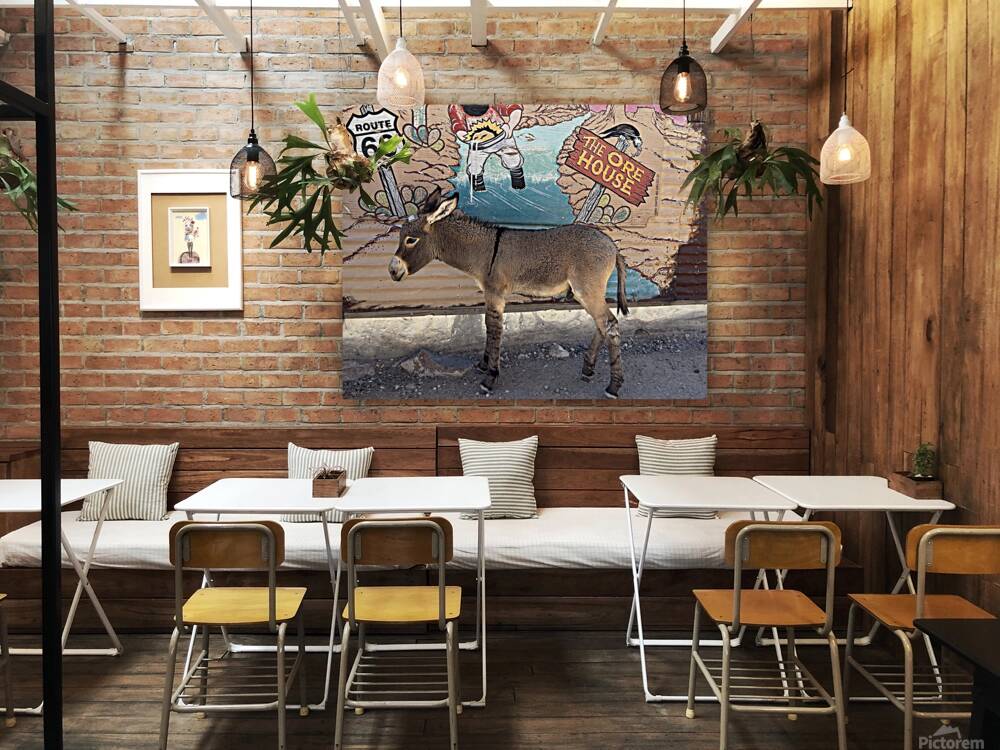 Baby “Ranger” - Oatman Arizona Reproduction