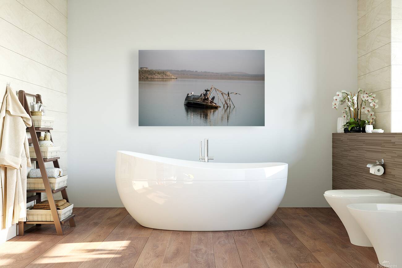 Silent Wreckage on Still Waters Reproduction