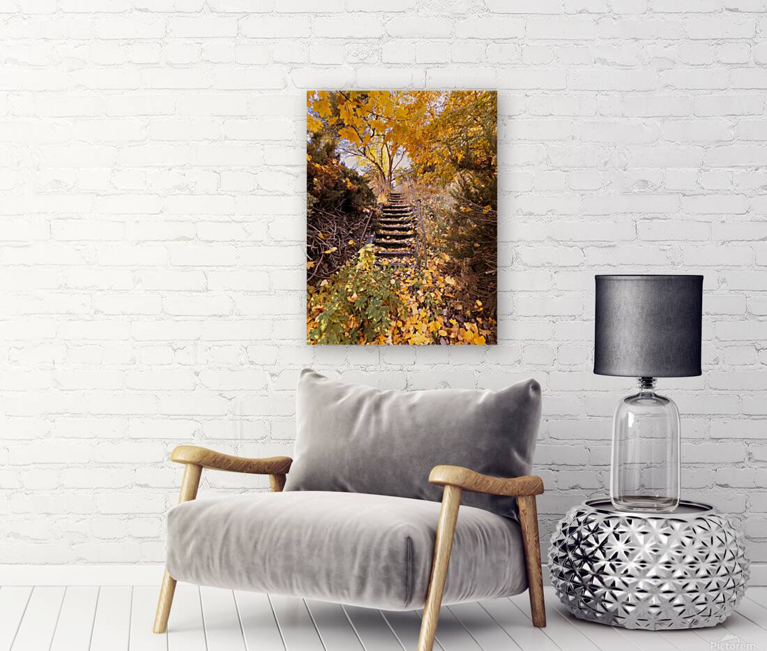 Autumn’s quiet retreat Reproduction