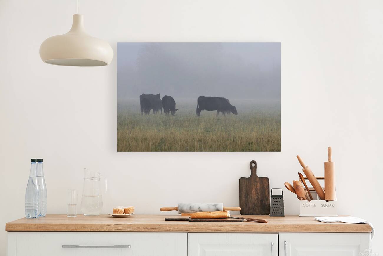 Misty Moood Reproduction