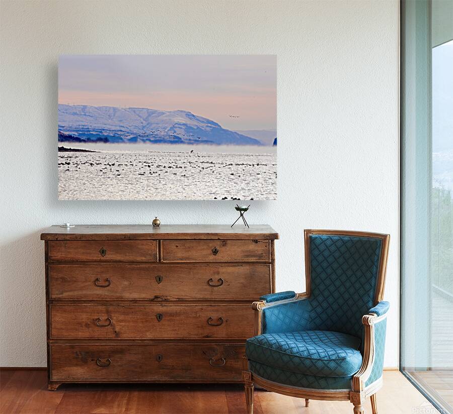 Beauty in the bitter cold - Columbia River 2 Reproduction