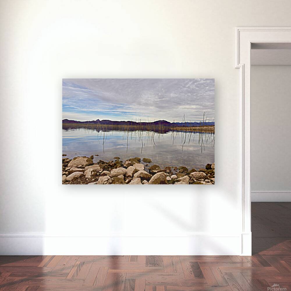 Alamo Lake Arizona -1 Reproduction