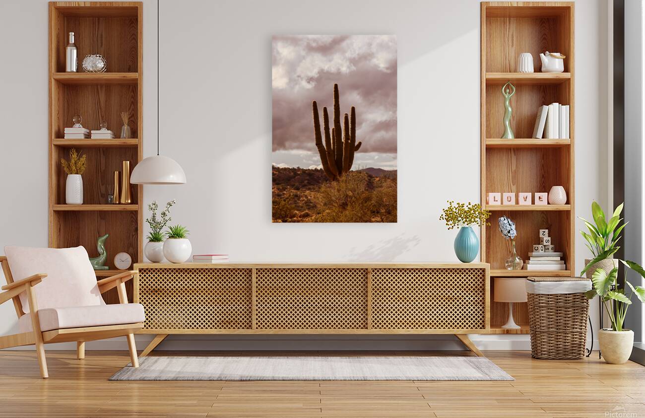 Sunlit Saguaro Reproduction