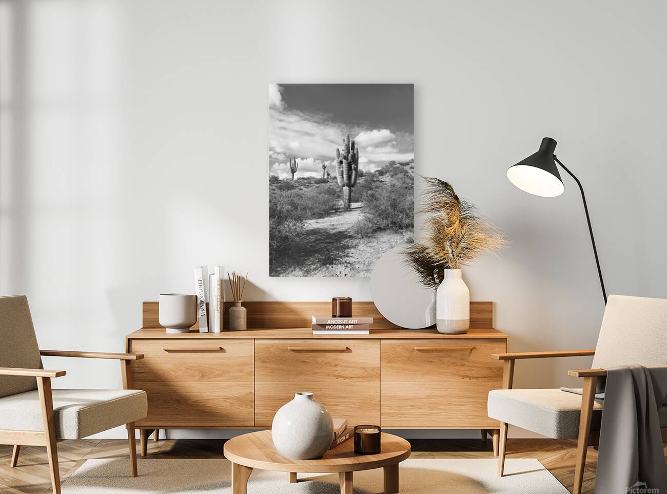 Fine Art Desert Reproduction