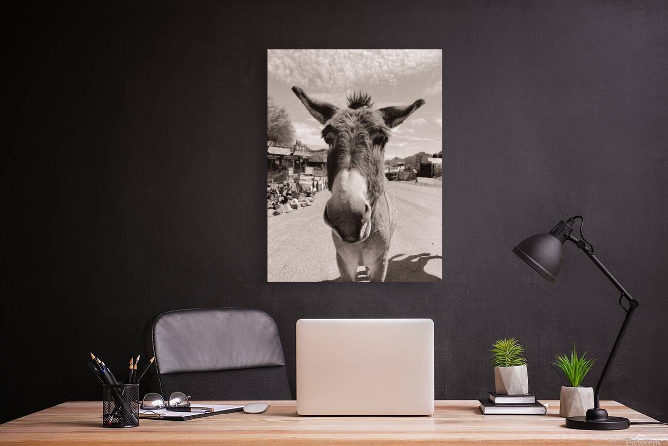 Oatman Donkey - Sepia tone Reproduction