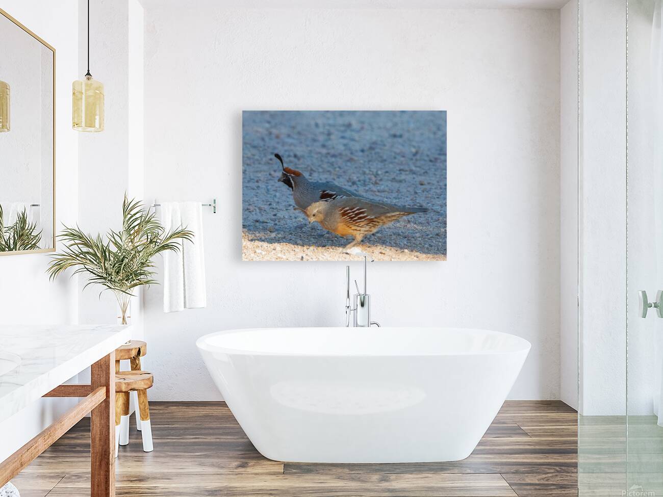 Quail Couple Reproduction