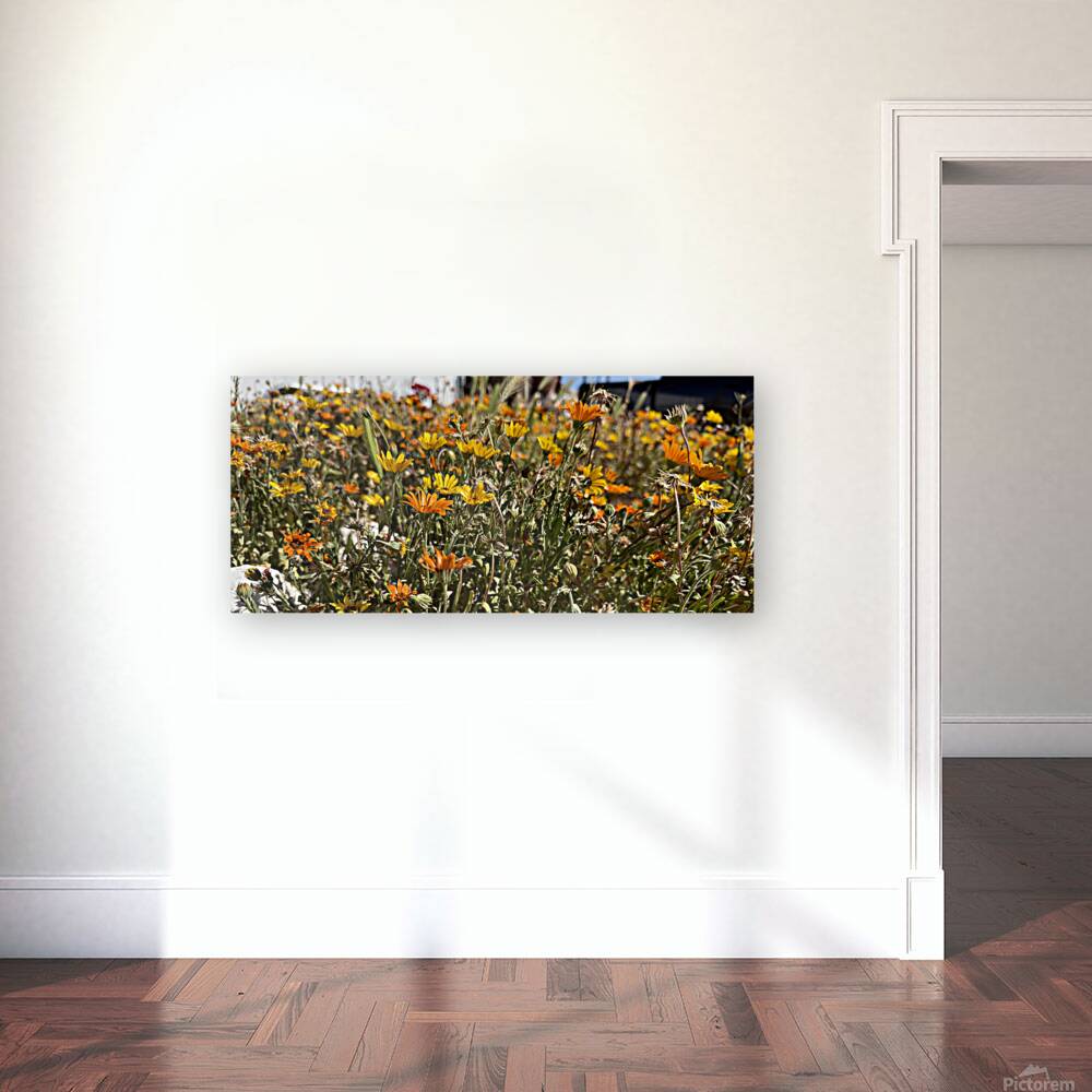 Happy little wildflowers Reproduction