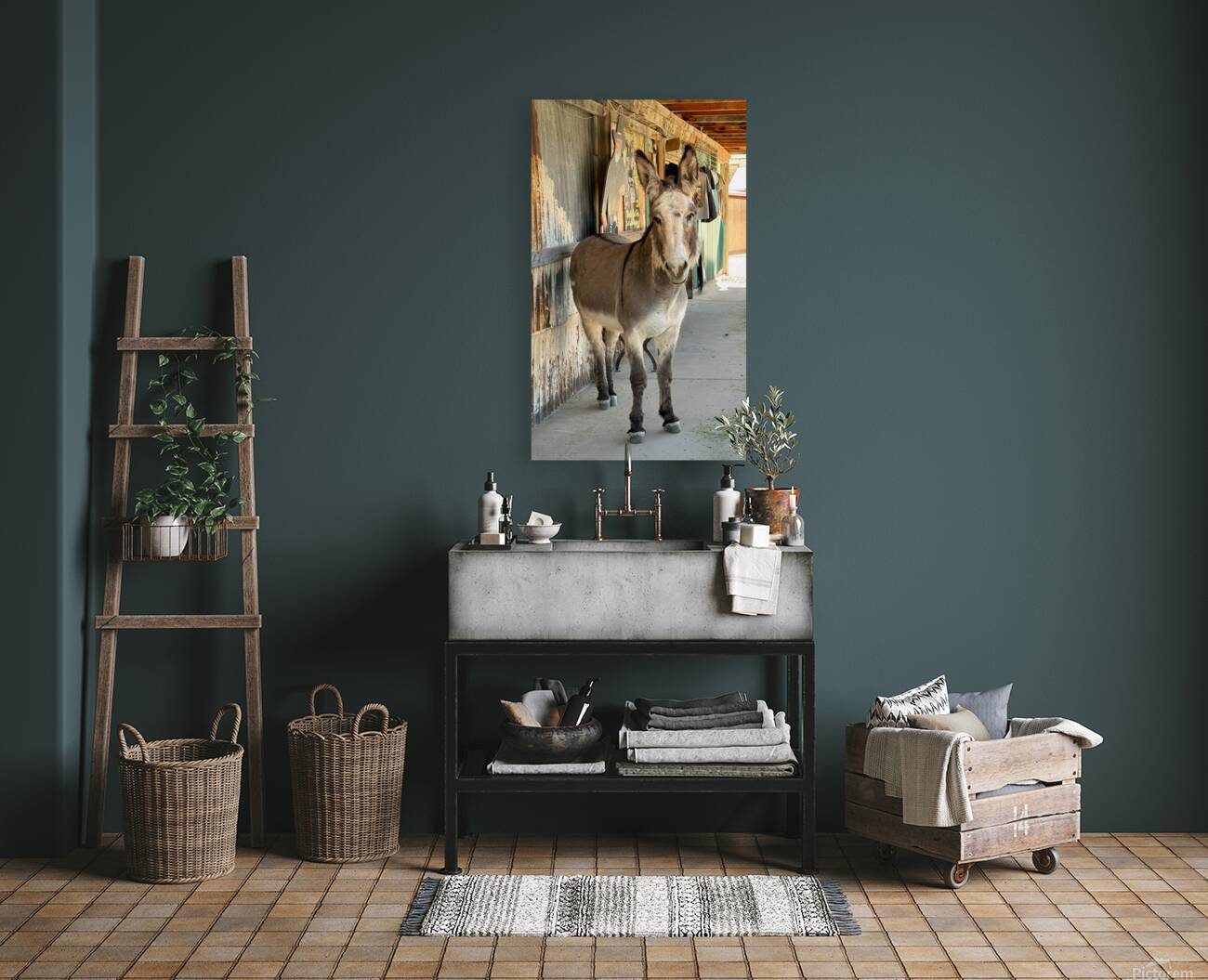 Oliver with “winter chops” Reproduction