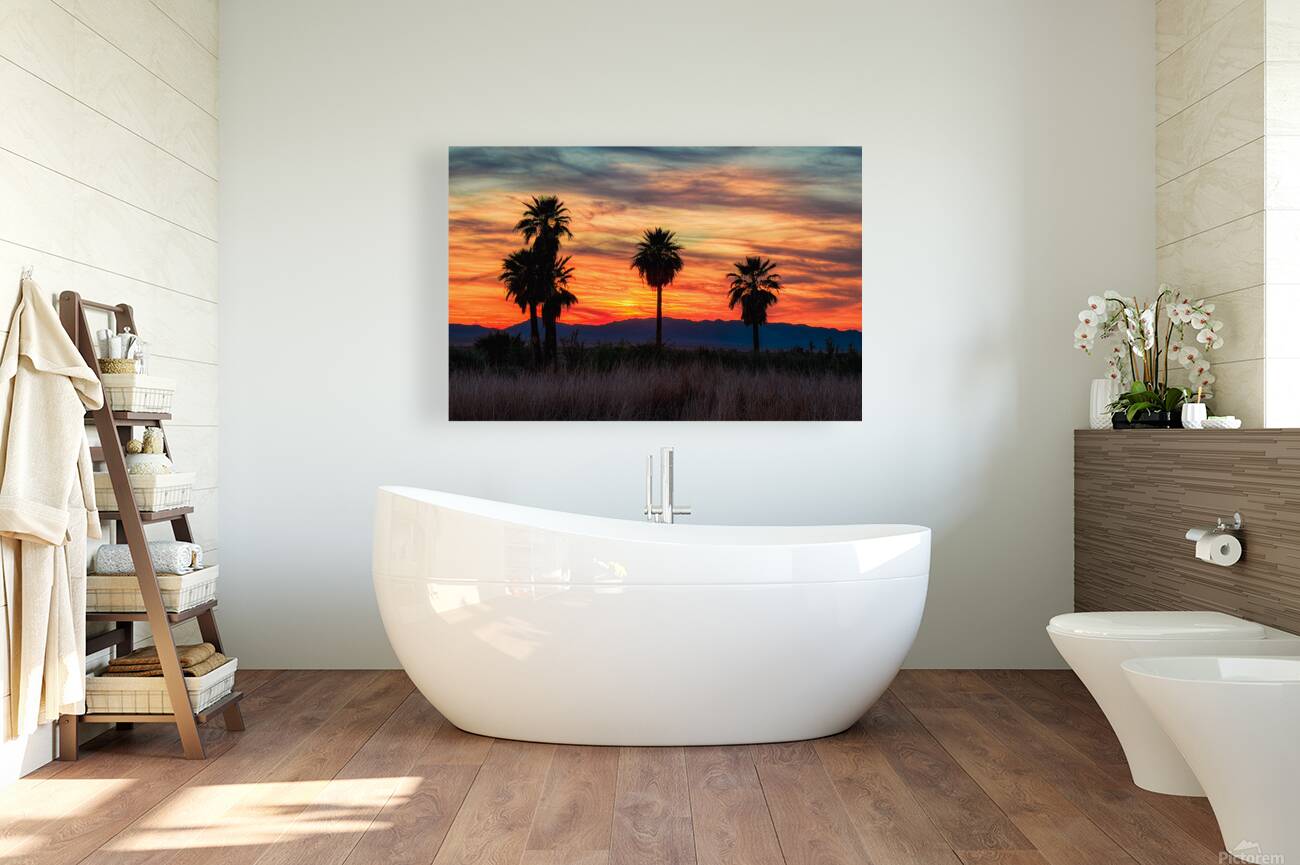 5 Mile Landing - Topock Marsh Reproduction