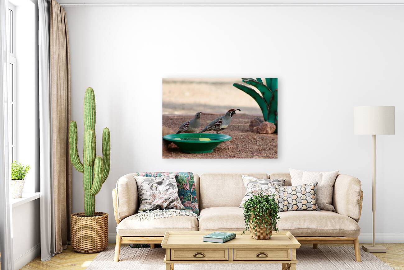 Ye Old Watering Hole Reproduction