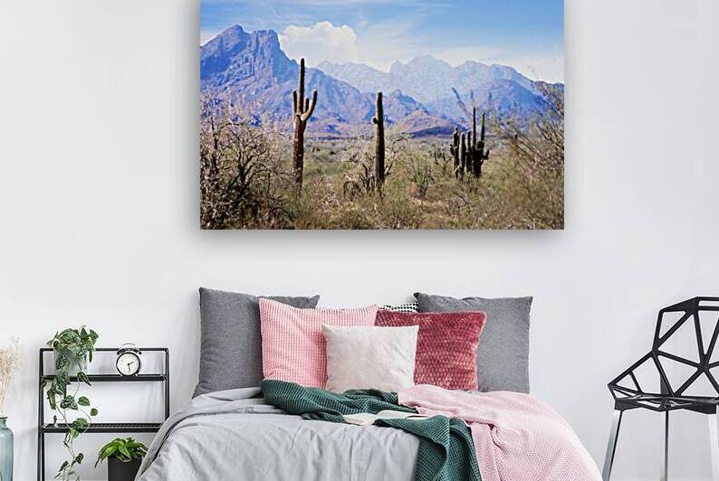 Blue Pastel Desert Reproduction