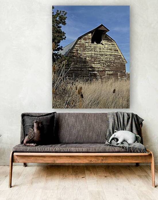 Colfax Barn 1 by Leslie Affeldt Photography