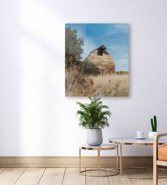 Colfax Barn 3 by Leslie Affeldt Photography