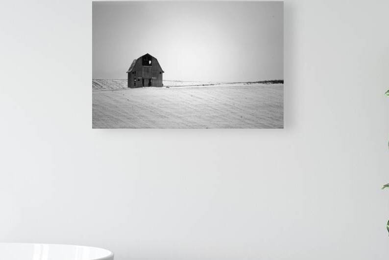 Standing Resolute by Leslie Affeldt Photography