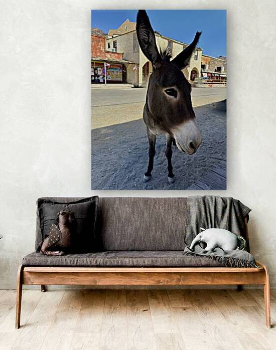 Oatman resident by Leslie Affeldt Photography