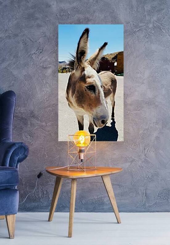 Oliver the Sheriff of Oatman -3 by Leslie Affeldt Photography