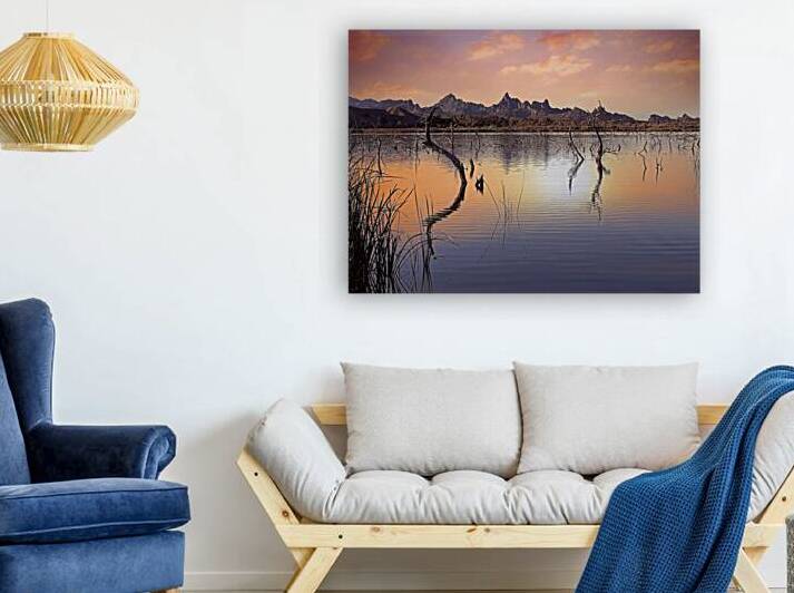 Catfish Paradise by Leslie Affeldt Photography