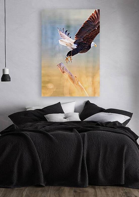 Take Flight by Leslie Affeldt Photography