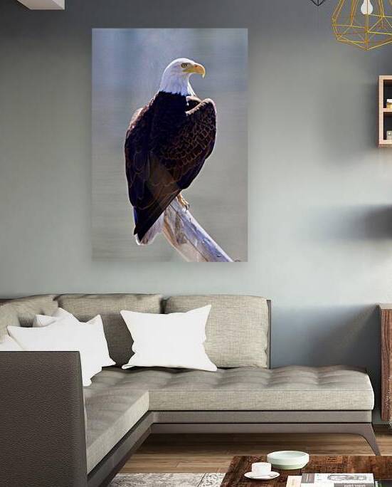 Majestic Reproduction