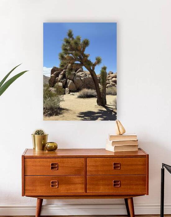 Joshua Tree -1 Reproduction