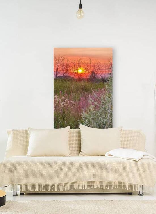 Sunset on Silica Road by Leslie Affeldt Photography