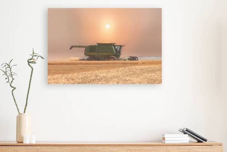 Wheat Havest Sundown Reproduction
