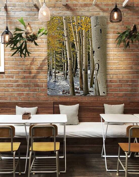Aspens in Flagstaff -1 by Leslie Affeldt Photography