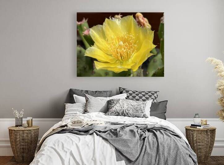 Prickly Pear Bloom -1 Reproduction