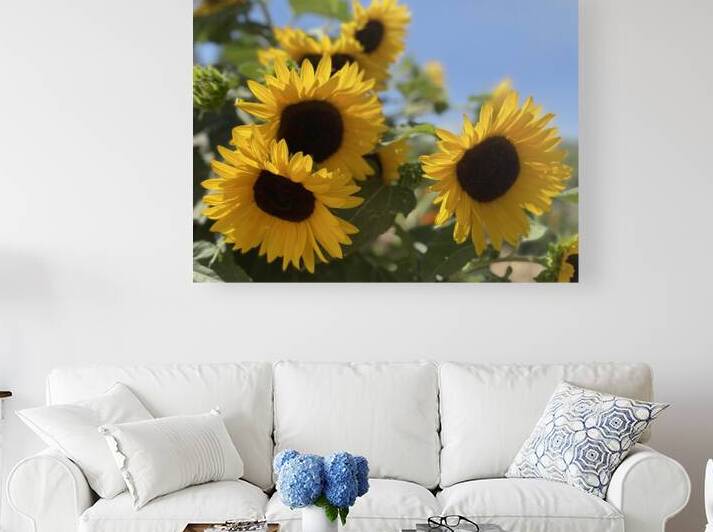 Happy Sunflowers Reproduction