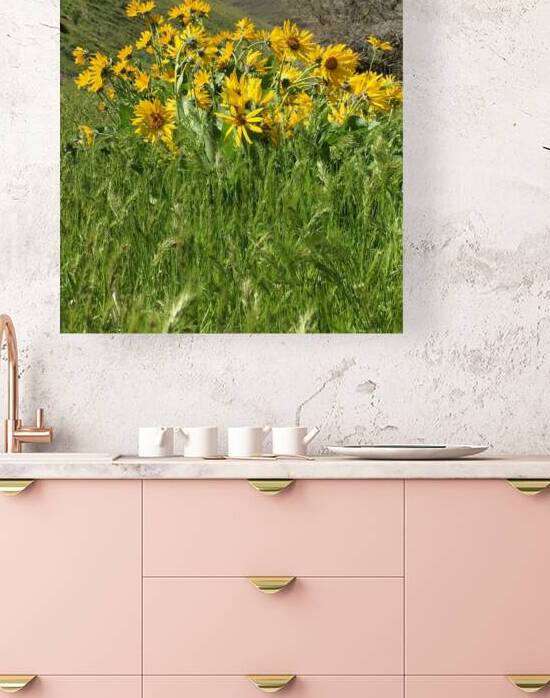 Balsam Root Wildflowers by Leslie Affeldt Photography
