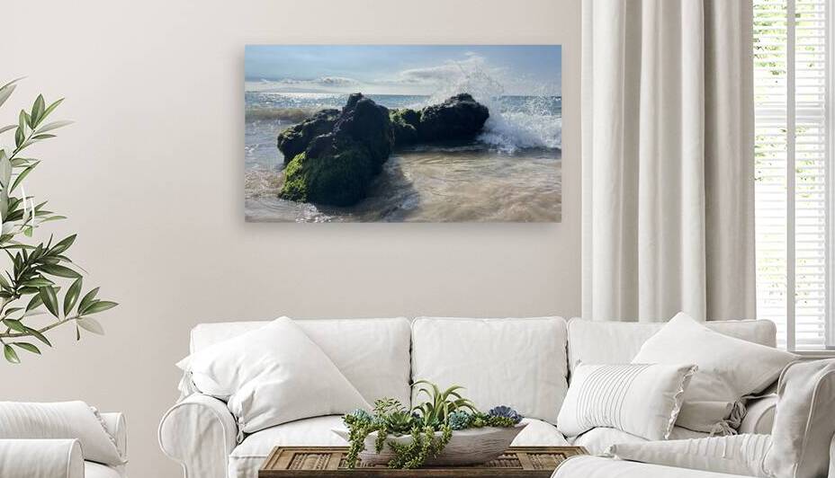 Maui on the Rocks by Leslie Affeldt Photography