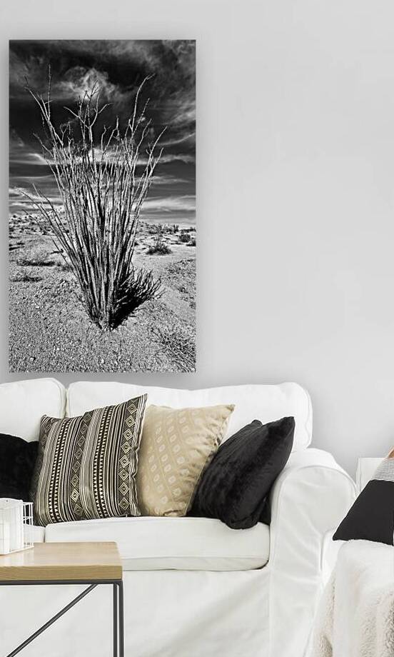 Desert Drama by Leslie Affeldt Photography