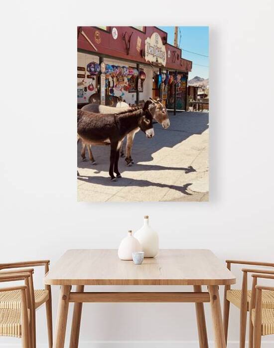 Guardians of Oatman by Leslie Affeldt Photography